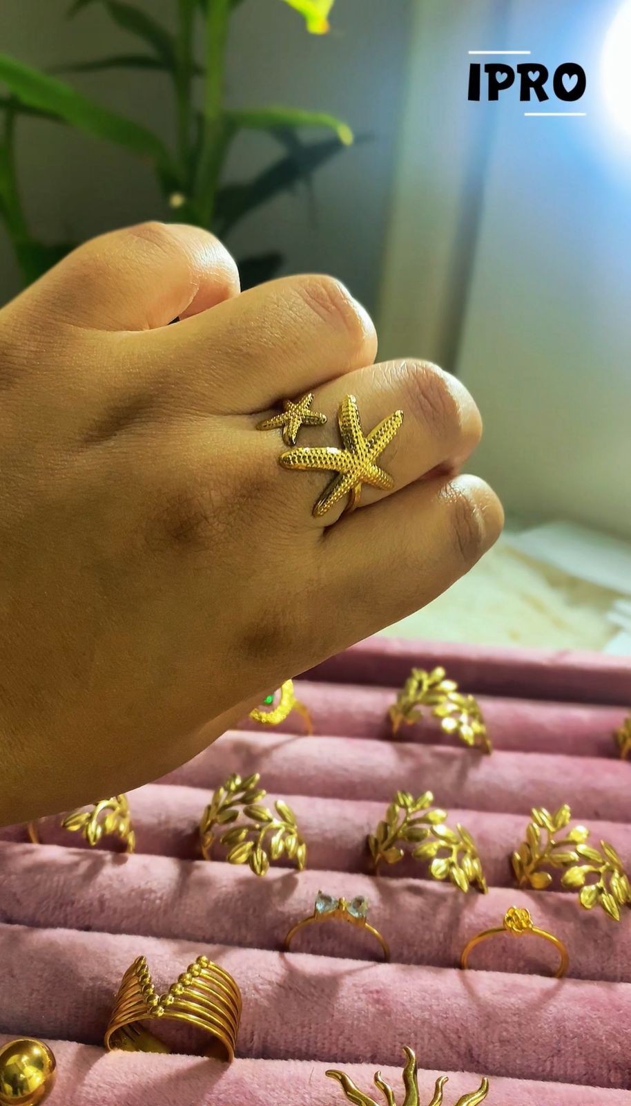 22k Gold Platted High Quality Oyestar